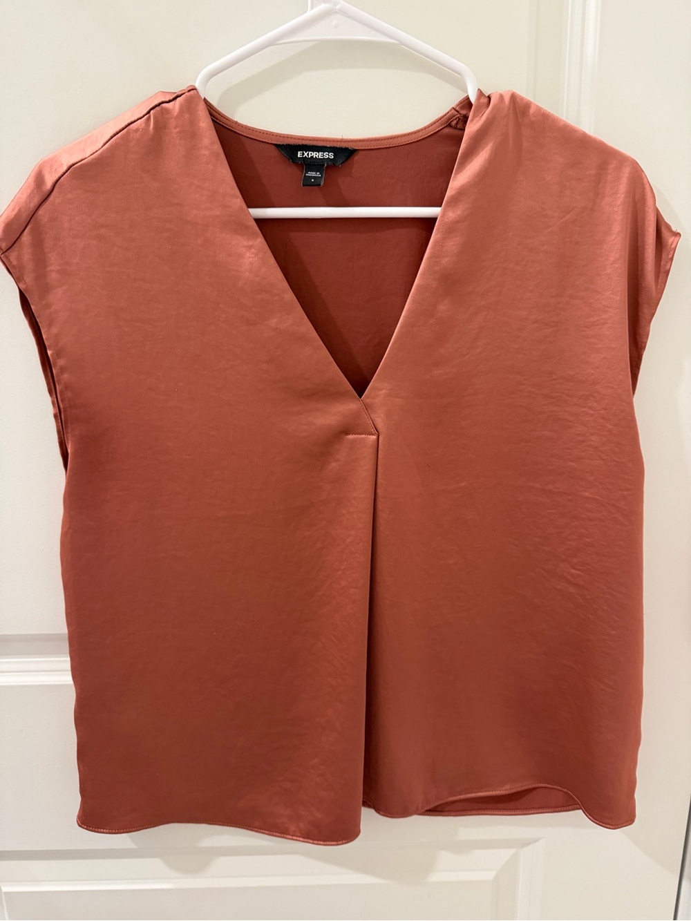 Express Rust-Colored V-Neck Pleated Cap Sleeve Blouse